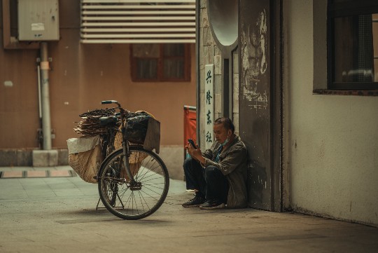 探索长毛狸花猫的性格奥秘，独特魅力解析